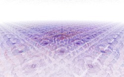 2014 04 12 Scratch 45-white.jpg